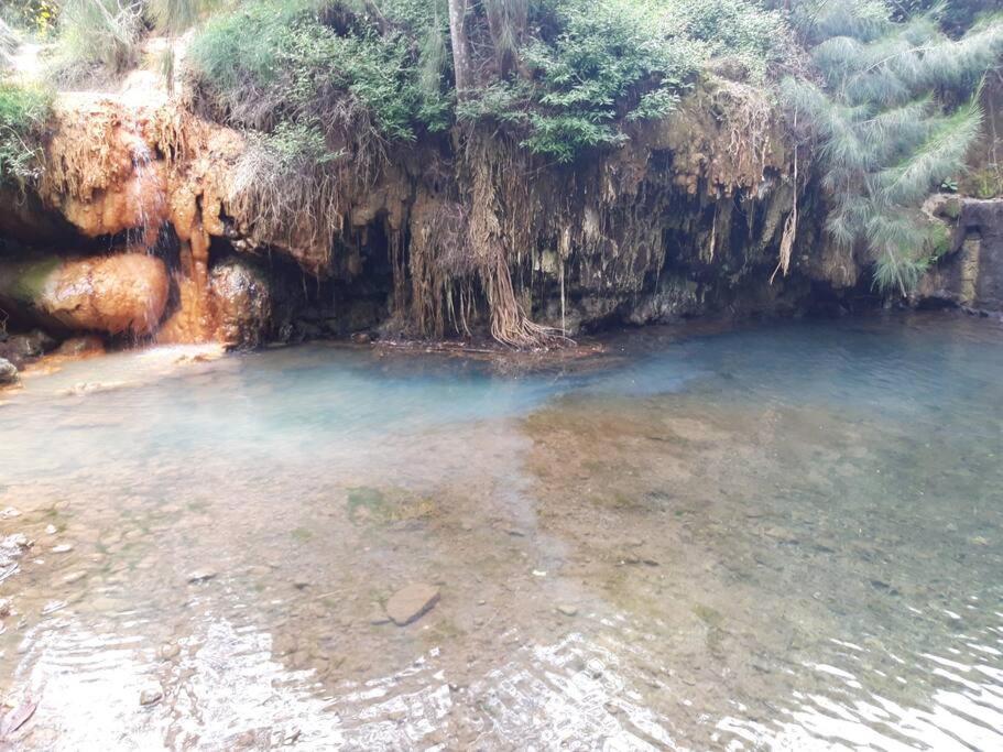 Chalet Les Azalees Le Tampon Kültér fotó